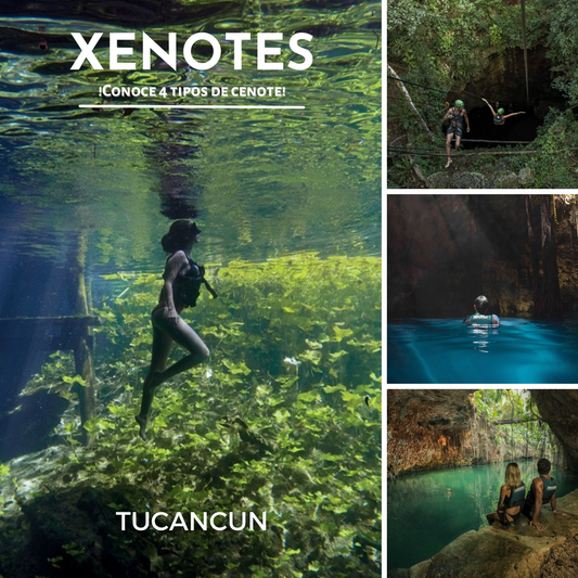 XENOTES